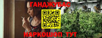 сатива Кунгур