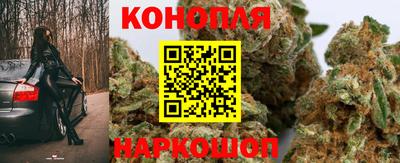 сатива Кунгур