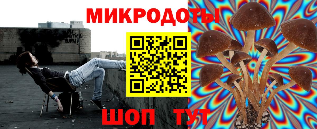 Галлюциногенные грибы мицелий Елец