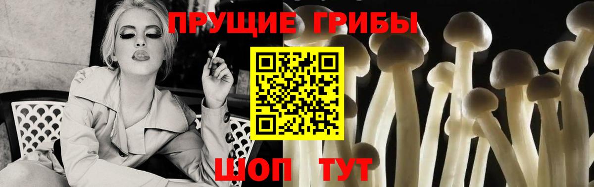 наркошоп  Вход с VPN  Елец  Псилоцибиновые грибы Magic Shrooms 